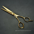 Professional Haircut Scissors Barber Scissors for Barber Shop and Personal Care